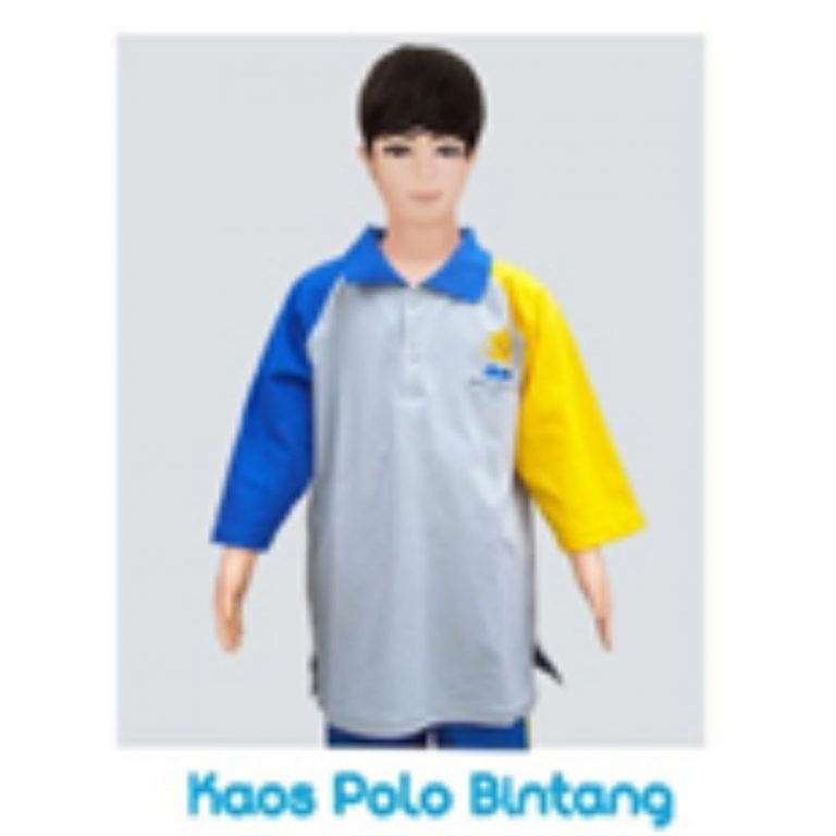 Seragam Sekolah polo